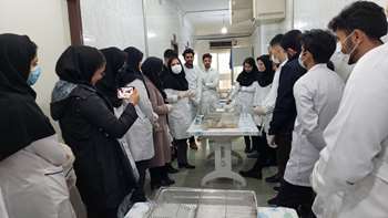 کارگاه عملی کار با حیوانات آزمایشگاهی سال 1402